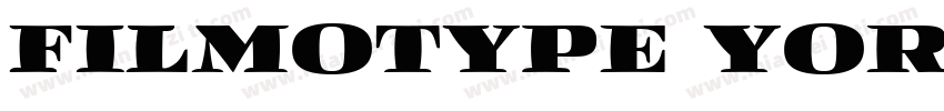 filmotype york.otf字体转换